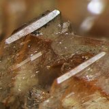 Baryte, Realgar
FOV appr. 0,5 cm
(Autor: Rob Schnerr)