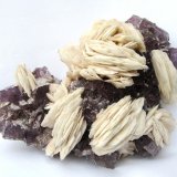 Baryte, Fluorite
Specimen size 15 cm, largest baryte 4 cm, largest fluorite 1,5 cm
(Autor: Tobi)