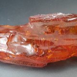 Amber
8,5 x 3,5 cm
(Autor: Andreas Gerstenberg)