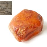 Amber
4,5 x 4 cm
(Autor: Andreas Gerstenberg)