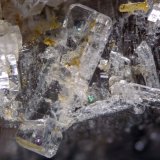 Bertrandite
FOV 5 mm
(Autor: Cesar M. Salvan)