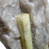 Beryl
10,4 cm crystal
(Autor: Andreas Gerstenberg)