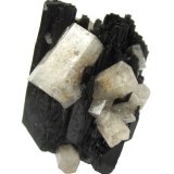 Beryl (variety goshenite) on schorl
Largest beryl 13 mm, specimen height 4 cm
(Autor: Tobi)