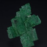 Beryl (variety emerald)
3.0 x 2.5 cm
(Autor: am mizunaka)