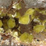 Beyerite
Picture width: 1,7 mm.
(Autor: Andreas Gerstenberg)