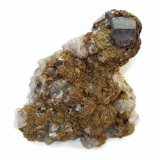 Siderite, Galena, Fluorite
Specimen size 11 cm, largest galena 18 mm, largest fluorite 18 mm
(Autor: Tobi)