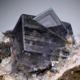 Fluorite
1.5 cm
(Autor: Jesse Fisher)