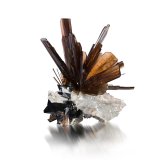 Brookite with Anatase and Quartz
5.5 x 5.5 x 5 cm / main crystal: 3.9 cm
(Autor: MIM Museum)