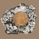 Stilbite
6.5 x 6.0 cm
(Autor: Frank Imbriacco)