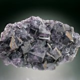 Fluorite
12x9x4 cm overall size
(Autor: Jesse Fisher)