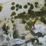 Chlorite Group/Quartz
28x21x15mm
(Autor: david916)