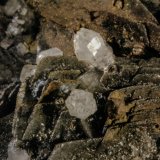 Calcite and Quartz
FOV 22 mm
(Autor: Adrian Pripoae)