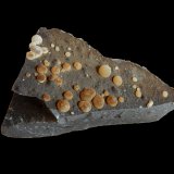 Calcite
70 mm x 30 mm x 40 mm
(Autor: Dany Mabillard)