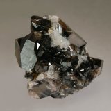Cassiterite
3.7 x 4.5 cm
(Autor: Michael Shaw)