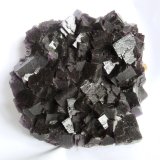 Fluorite, Calcite
Specimen size 18 x 18 cm, largest fluorite cubes 3 cm
(Autor: Tobi)