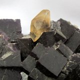 Fluorite, Calcite
Calcite crystal 2 cm
(Autor: Tobi)