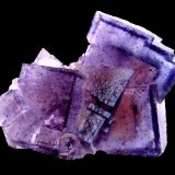 Fluorite
Specimen size 9 cm
(Autor: Tobi)