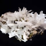 Celestine
6.3 x 10.5 cm
(Autor: Michael Shaw)