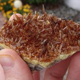 Celestine
8,5 x 5,5 x 5 cm
(Autor: sauer11)