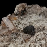 Cervandonite-(Ce)
6 x 6.5 x 3.5 cm / main crystal: 0.8 cm
(Autor: MIM Museum)