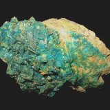 Chalcanthite
8 x 5,5 cm
(Autor: Andreas Gerstenberg)