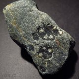 Andalusite var. chiastolite
6.5cm
(Autor: NellsRocks)