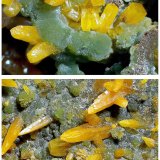 Wulfenite with Mimetite
15 cm x 9 cm x 8 cm
(Autor: silvia)