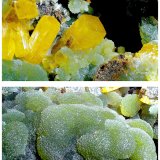 Wulfenite with Mimetite
15 cm x 9 cm x 8 cm
(Autor: silvia)