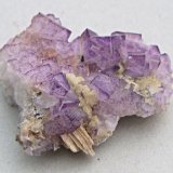 Fluorite
8 cm
(Autor: colin robinson)