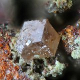 Corderoite
fov 0,5 mm
(Autor: Jordi Fabre)