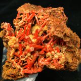 Crocoite with Dundasite
7cmx5cmx5cm
(Autor: Joseph DOliveira)