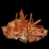 Crocoite
5.0 x 3.4 cm
(Autor: am mizunaka)