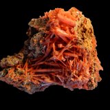 Crocoite
120x80x70 mm
(Autor: Dany Mabillard)