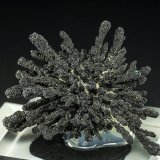 Cryptomelane
5.1 x 4.0 cm
(Autor: am mizunaka)