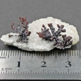 Copper, calcite
Specimen size 3,5 cm
(Autor: Tobi)