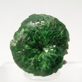 Adamite (variety cuprian adamite)
Specimen size: 1.5 × 1.7 × 1.3 cm
(Autor: Jordi Fabre)