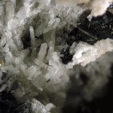 Cuspidine
FOV 1 cm
(Autor: Cesar M. Salvan)