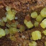Autunite
FOV 5mm
(Autor: david916)