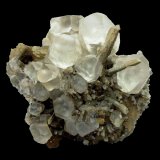 Fluorite, Quartz
Specimen size 8 cm, largest fluorite 2 cm
(Autor: Tobi)