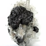 Sphalerite, Quartz
Specimen size 9,5 cm, large sphalerite 4 cm, largest quartz 2,5 cm
(Autor: Tobi)