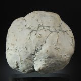 Datolite
2.0 x 6.5 x 7.5 cm.
(Autor: Michael Shaw)