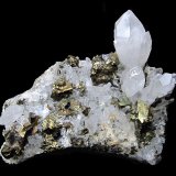 Quartz, Chalcopyrite
Specimen size 12 cm, largest quartz 4 cm, largest chalcopyrite 2 cm
(Autor: Tobi)