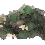 Fluorite
Specimen size 19 cm, largest fluorite 3 cm
(Autor: Tobi)