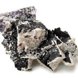 Fluorite, Calcite
Specimen size 13 cm, largest fluorite crystal 3,5 cm
(Autor: Tobi)