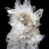 Specimen height 20 cm
(Autor: Tobi)