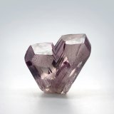 Diaspore
19 x 17 x 8 mm
(Autor: TamaHiguchi)