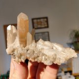 Quartz, hematite
Specimen size 10 cm, largest quartz crystal 5 cm
(Autor: Tobi)
