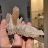 Quartz, hematite
Specimen size 10 cm, largest quartz crystal 5 cm
(Autor: Tobi)