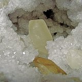 Barite and Calcite on Quartz
calcite is 8 cm     barite is 4.7 cm
(Autor: Bob Harman)