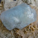 Celestine
celestine crystal,  5.0 cm on matrix
(Autor: Bob Harman)
